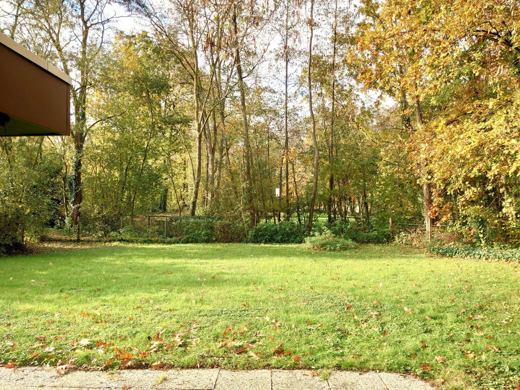 Rekem Vrijstaande Vakantiebungalow Met Optimale Privacy!! מראה חיצוני תמונה